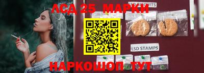 индика Беслан