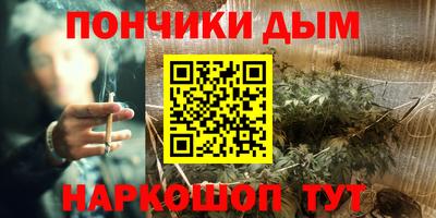 прущие грибы Бийск