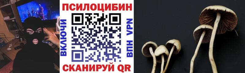 даркнет клад  Камышин  Псилоцибиновые грибы Psilocybine cubensis  MEGA ссылка 