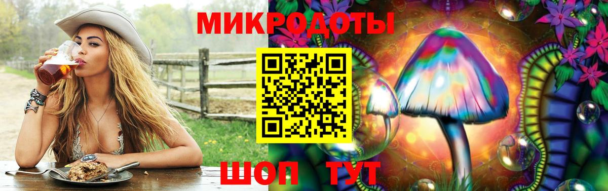 Псилоцибиновые грибы Magic Shrooms  где продают наркотики  Камышин  Вход с VPN 
