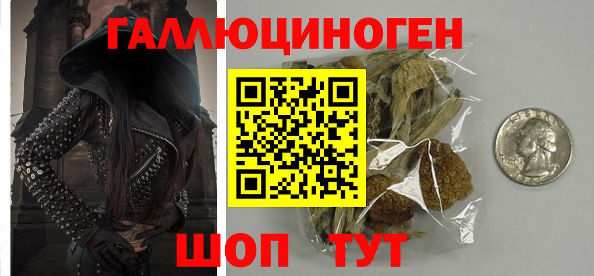 Псилоцибиновые грибы прущие грибы  Камышин 