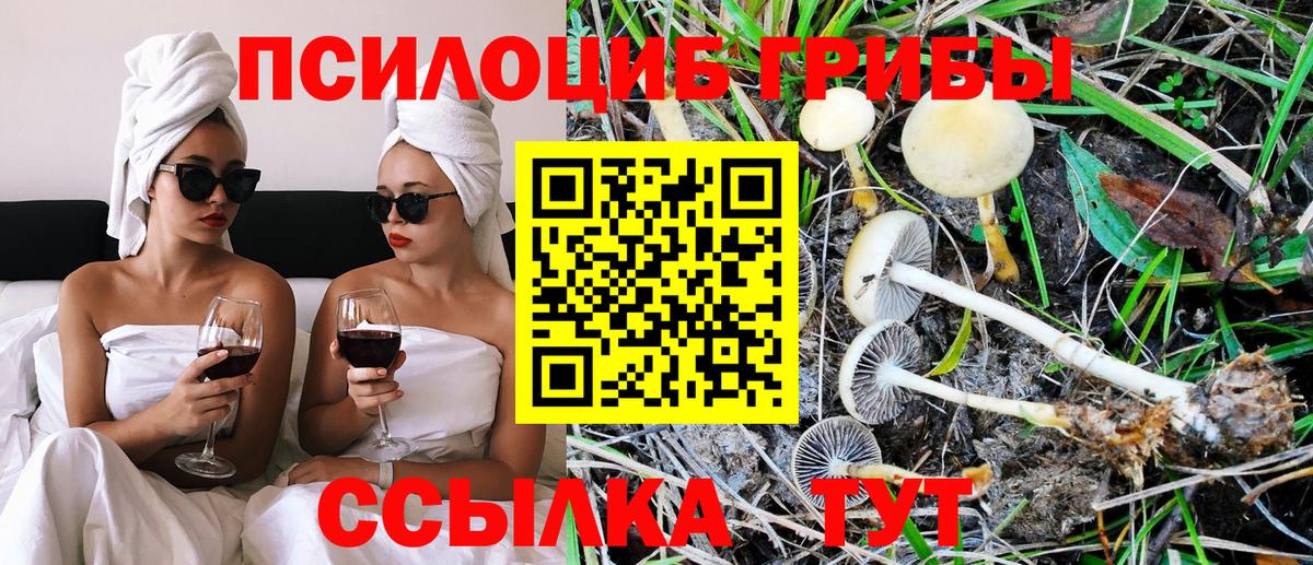 Псилоцибиновые грибы MAGIC MUSHROOMS Камышин