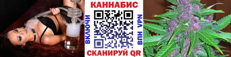 блэк спрут ссылка  Камышин  Шишки марихуана сатива  где купить наркоту 
